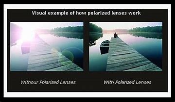 Image result for polarized lenses