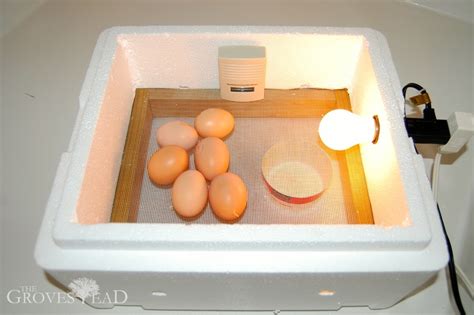 Basically, it is similar to the control all operations of incubator. The $3, 30-Minute Egg Incubator | The Grovestead