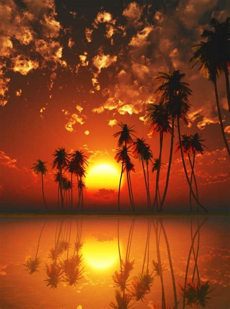 Red Tropical Sunset Caribbean Islands By Alekcej Tugolukoff Lion Live