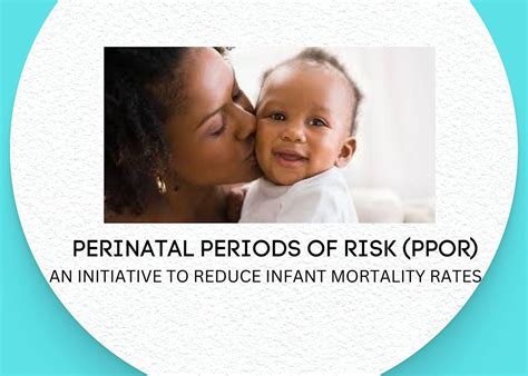 Short Perinatal Periods Of Risk Ppor February 23 2023 Online Event