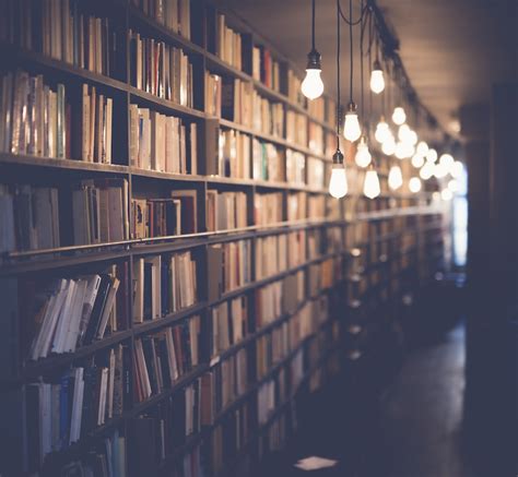 Best 500 Library Pictures Hd Download Free Images On Unsplash