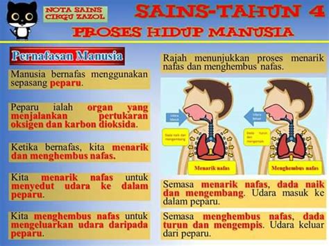 Modul eksperimen sains spm tahun 2016. Tuisyen Individu Home Tuition #1 Kelantan: NOTA SAINS TAHUN 4