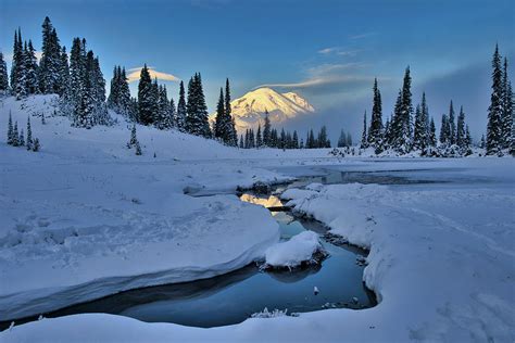 My Morning View Of Mount Rainier Photograph By Lynn Hopwood Fine Art