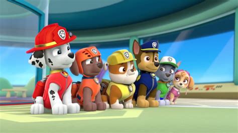 Pups Save Ryderquotes Paw Patrol Wiki Fandom
