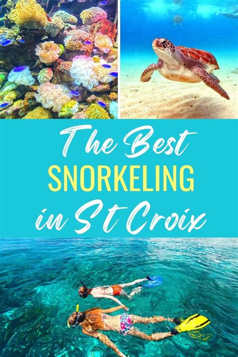 Top 5 Best St Croix Snorkeling Spots You Cant Miss Means To Explore