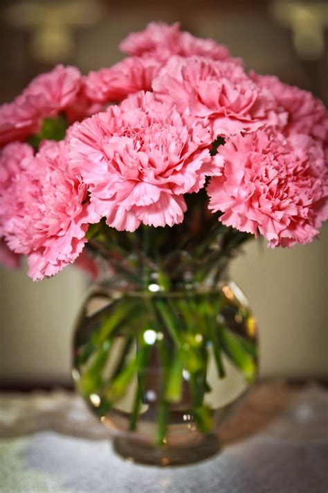 You have lots of good managers there. DIY Why Spend More: Flowers from Sam's Club for wedding