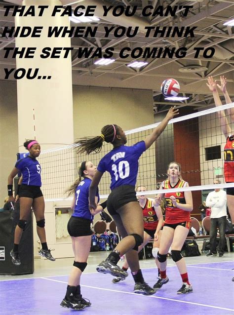 pin by usa volleyball on usa volleyball pin it to win it volleyball memes volleyball humor