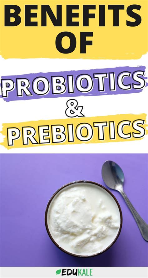Probiotics And Prebiotics Why Do You Need Them Prebiotics Best