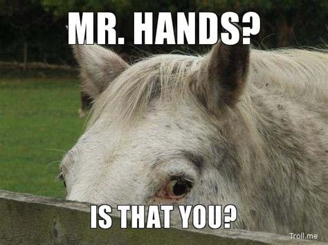 what is mr hands and why should you not watch it the infamous shock video explained know