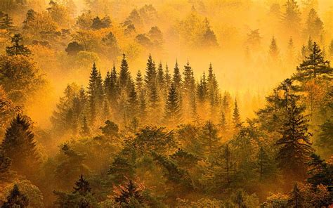 1920x1080px Free Download Hd Wallpaper Nature Landscape Mist