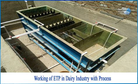 What Is The Process Of Etp Plant In Dairy Industry