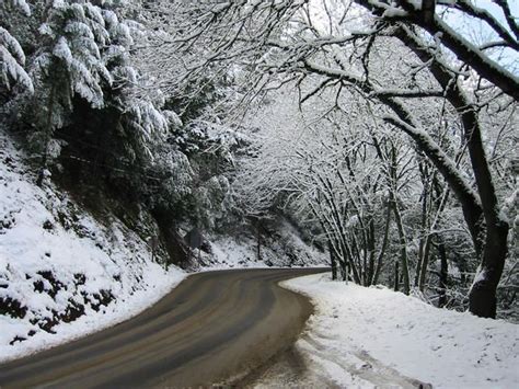 Photo Snow In The Santa Cruz Mountains Santa Cruz