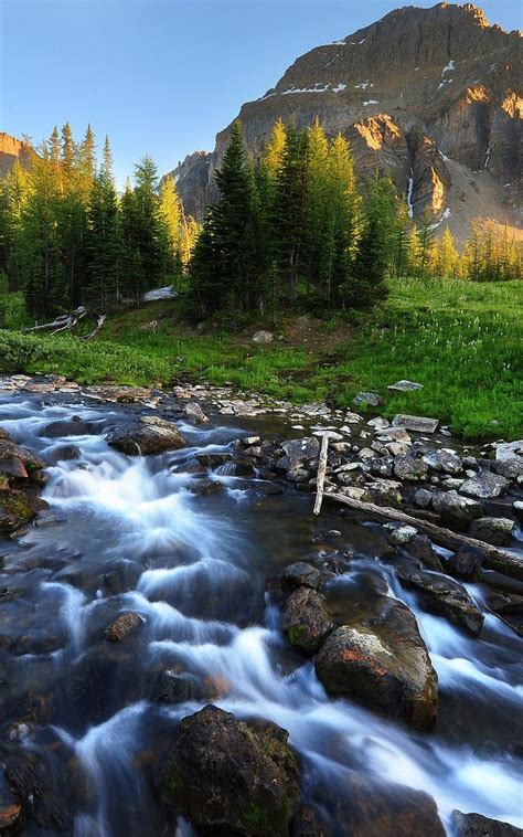 Download Mountain Stream Beautiful Landscape Wallpaper For