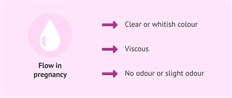Characteristics Of Normal Vaginal Discharge In Pregnancy