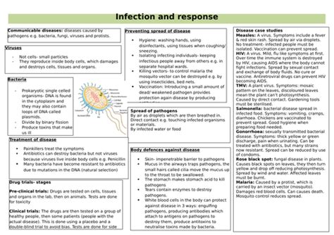 Aqa New Gcse Biology Unit 3 Infection And Response Re