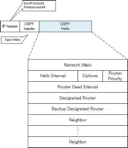 OSPF Hello Packet How The OSPF Works N Study