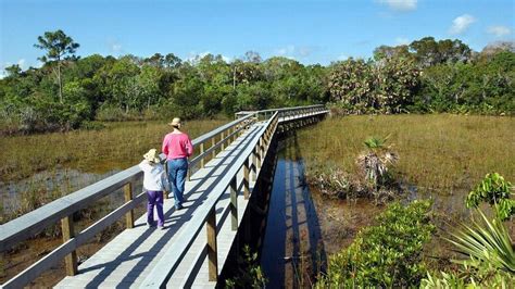 How I Came To Support Everglades Restoration Miami Herald