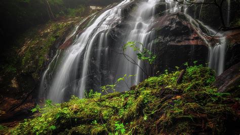 Magical Mystical Mossy Waterfall Photograph By Mike Koenig