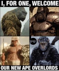 Our fave atomic lizard and giant ape are back with godzilla vs. Godzilla Vs Kong Meme Monke : 522 best images about ...