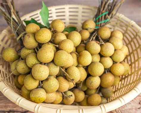 What Is Longan Fruit Healthy Food Tribe