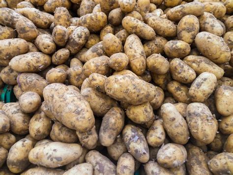 Patatas Crudas Sabrosas Y Saludables En El Mostrador Del Supermercado