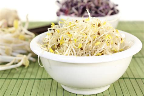 How To Grow Alfalfa Sprouts For Fresh Tasty Salads And Garnish