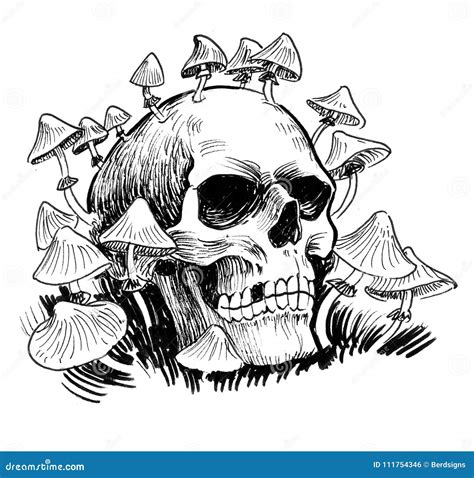 Skull And Mushrooms Stock Illustration Illustration Of Poisonous