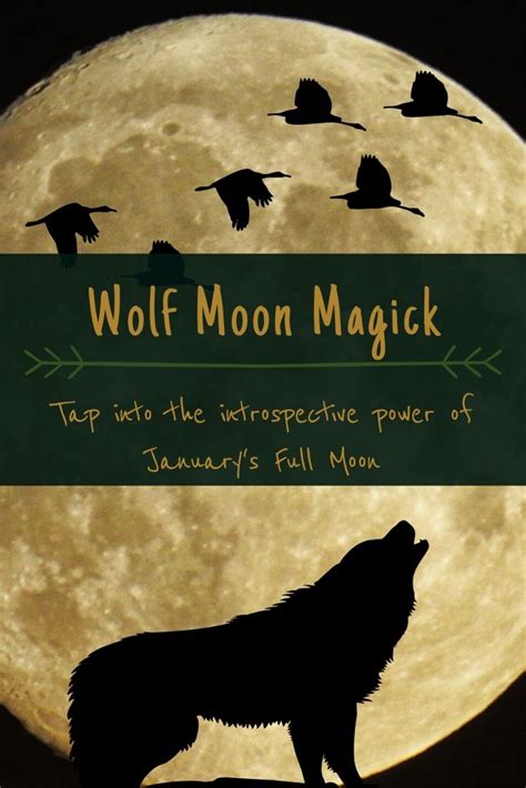 Wolf Moon Magick In 2020 Magick Wolf Moon Spells For Beginners