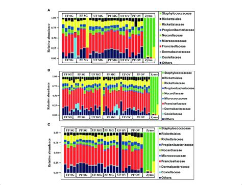 Relative Abundances Of Bacteria Profiles Showing The Topmost Abundant Download Scientific