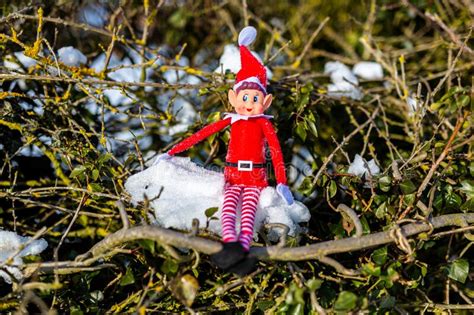 christmas elf sitting on a snowy shelf with peppermint sticks and ornament stock image image