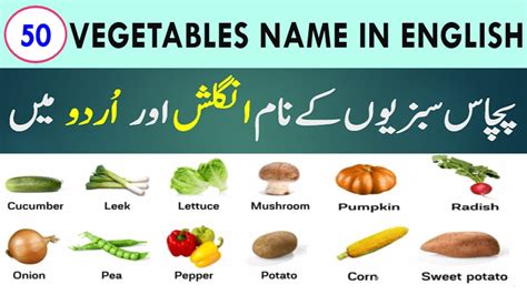 Top 50 Vegetables Name In English And Urdu With Pictures Youtube