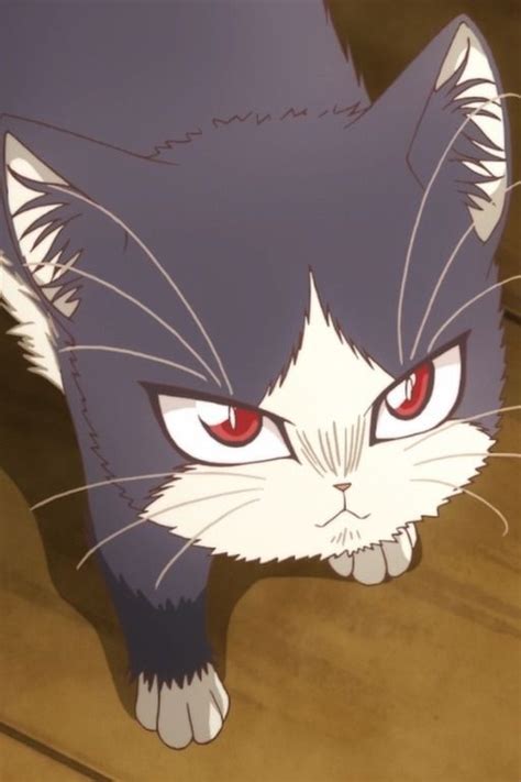 Doukyonin Wa Hiza Is Freaking Cute Anime Shelter Anime Animals