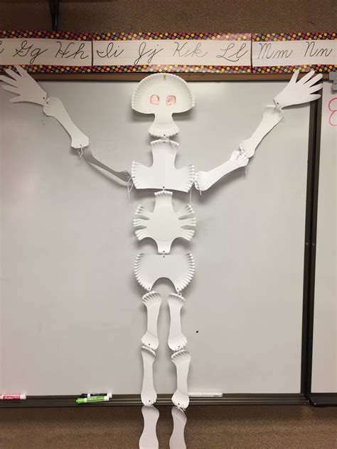 Paper Plate Skeleton Paper Plate Skeleton Skeleton Art Projects