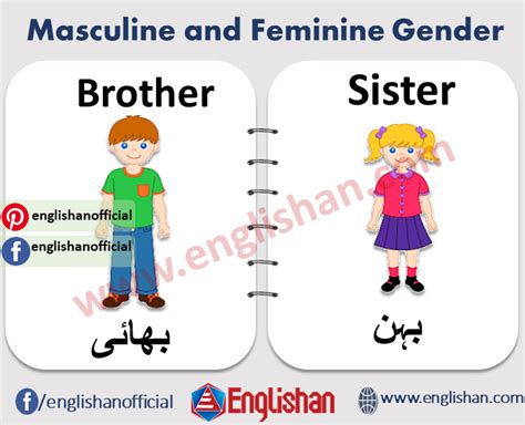 Masculine And Feminine Gender 1000 Examples And List Learning English