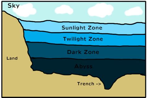 The Abyss Ocean Zone