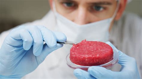 la première usine de viande cultivée en laboratoire au monde ouvre en israël