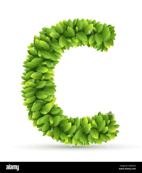 Letra C Alfabeto Vectorial De Hojas Verdes Fotografía De Stock Alamy