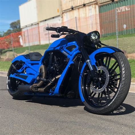 ⛔ Review Of Harley V Rod Custom Australia By Dgd Custom