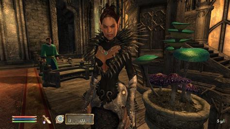 The Elder Scrolls 4 Oblivion Shivering Isles Image 9