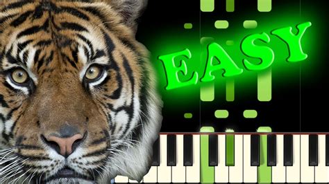 Eye of the tiger is a song by american rock band survivor. SURVIVOR - EYE OF THE TIGER - Easy Piano Tutorial - YouTube