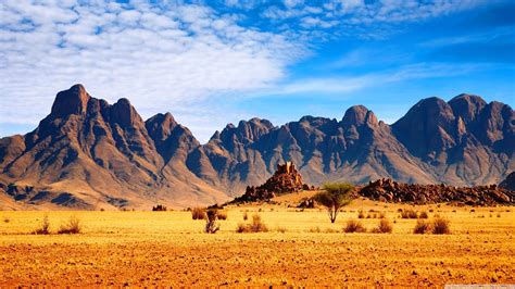 Africa 4k Wallpapers Top Free Africa 4k Backgrounds Wallpaperaccess