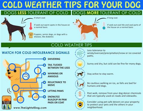 Final consideration when assess when it is too cold for dogs in winter is how cloudy the day is. Cold weather tips: keeping your family and pets safe