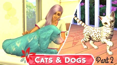 HORRIBLE VET & AGING UP!🤦‍♀️🐱// The Sims 4//Cats and Dogs// #2 - YouTube