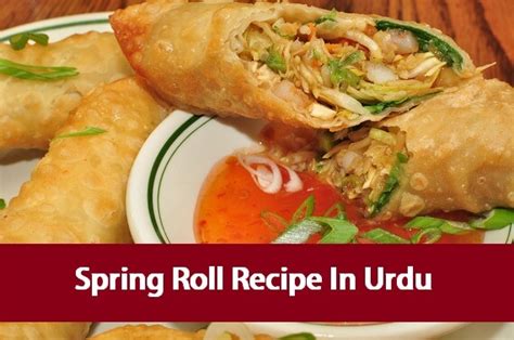 Spring Roll Recipe In Urdu Urdu Cookbook