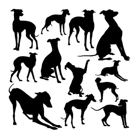 italian greyhound dog animal silhouettes   grey hound dog italian greyhound dog