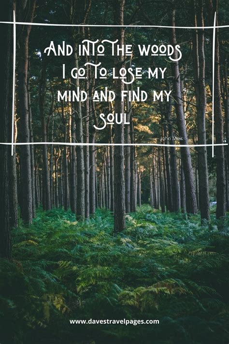 John Muir Quotes - 50 Inspiring Sayings and Quotes by John Muir