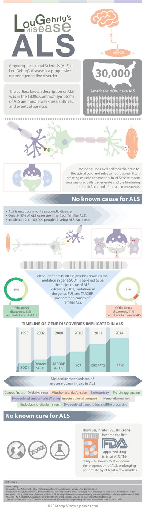 Als Amyotrophic Lateral Sclerosis Infographic Visualistan