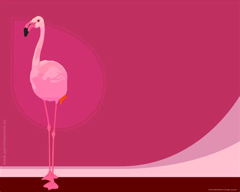 Flamingo Computer Wallpapers Desktop Backgrounds 1280x1024 Id127938 Flamingo Color Pink