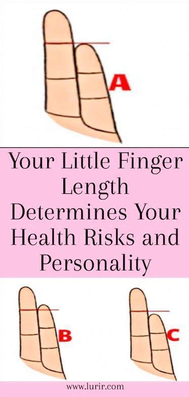 Our Little Finger Length Determines Health Risks And Personality