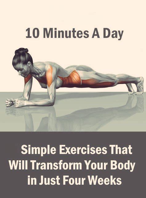 ᴀʀᴛ ᴏꜰ ᴘʜʏꜱɪqᴜᴇ on twitter rt cadioarena simple exercises that will transform your overall